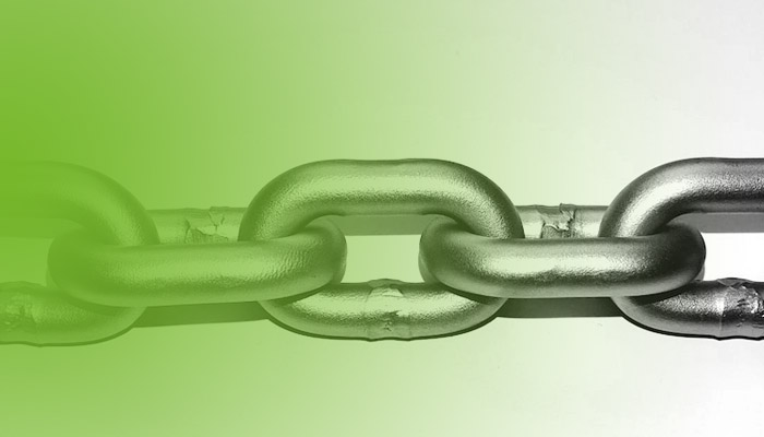 Ketten für Kettenfördersysteme in der Geflügelverarbeitung